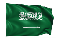 saudi flag